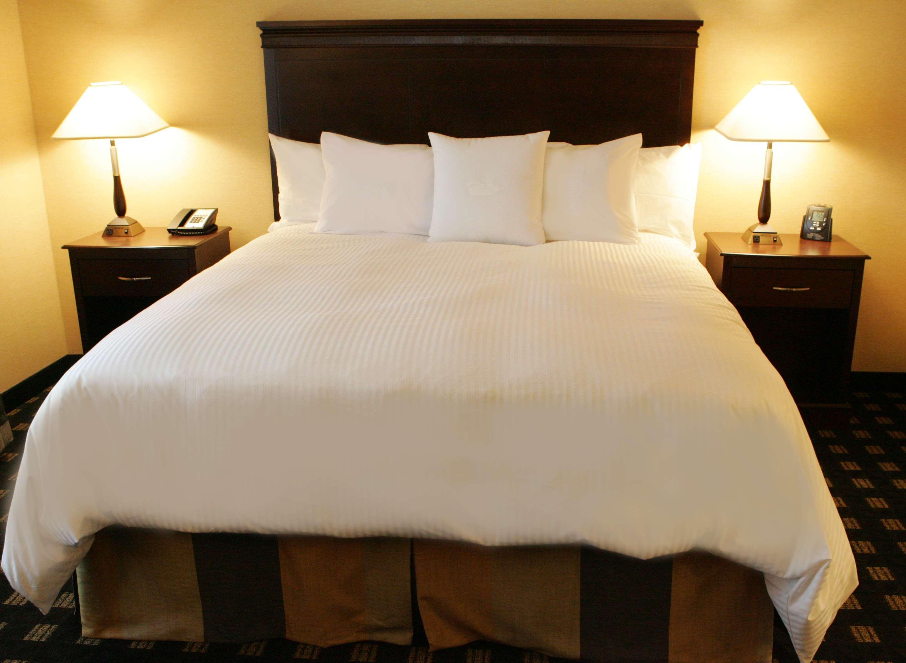 Homewood Suites By Hilton Toronto Airport Corporate Centre Szoba fotó
